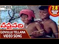 Saptapadi Movie Govullu Tellana Video Song Somayajulu Ravikanth Sabita Shalimarcinema