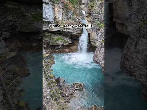 Beauty Creek Trail - 1 Hike with Many Waterfalls #icefieldsparkway #jasper #worldsbesthighway