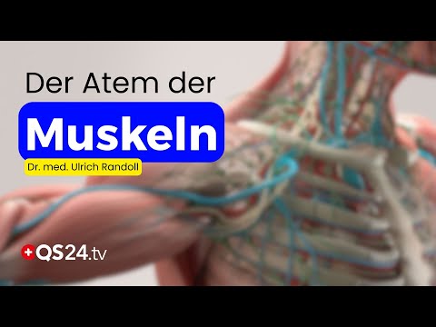 Matrix Rhythm Therapy: How your muscles can finally breathe freely again | QS24