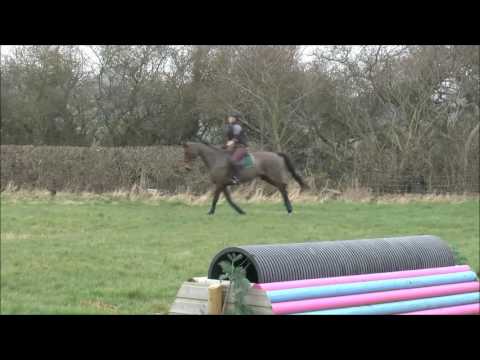 Ashley Newbold Verdon 040317