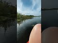 Huge Alligator Uncomfortably Close to Kayakers || ViralHog