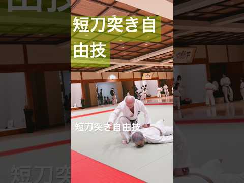 合気道・自由技の稽古風景。その日の課題と技の確認［合気道練精会］