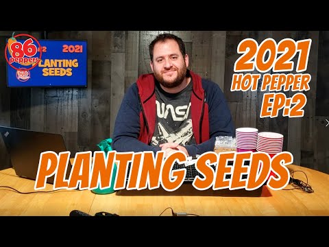 2021 Ep: 2 How to Plant Hot Pepper Seeds