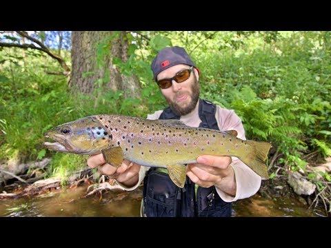 Ultralight am Forellenbach / Wobbler / Gummifisch / Bachforelle