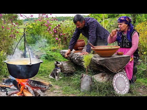 🍲 Traditional Azeri Dushbara: Step by Step Cooking Guide