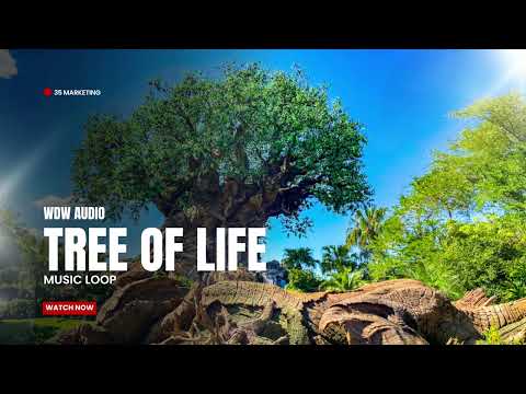 Tree Of Life - Music Loop