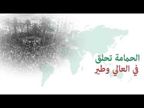 Moataz Abou Zouz - A Por El Mundialito MAT (Exclusive) | معتز أبو الزوز - أغنية الموندياليتو