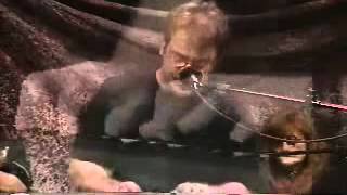 Jeff Black   Sunday Best