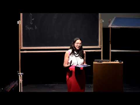 2/3 Rational points on varieties & the Brauer-Manin obstruction | Bianca Viray, Univ. of Washington