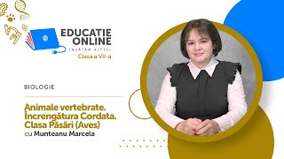 Animale vertebrate. Încrengătura Cordata. Clasa Păsări (Aves)