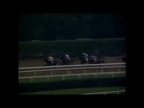 Jockey club Gold Cup 1995 - Cigar