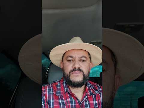 vendo essa propriedade 127 hectares bodoco pe 8799102 3154