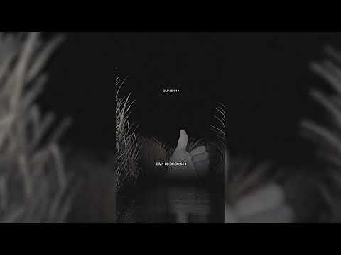 Fill x Resetedh x Cringe Prince x Mxxcha - Powerful (Official Visualizer)