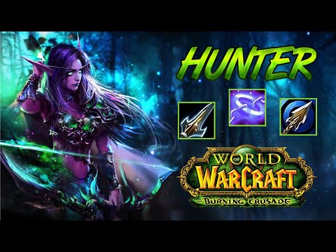 MM Hunter PvP +2400 - WoW TBC