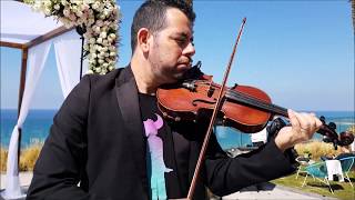 Violin Groovy Reception