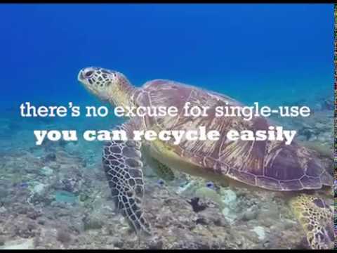 Plastic-Free - The Real Cheesemakers