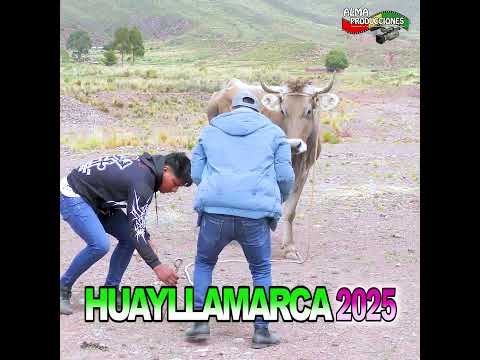 HUAYLLAMARCA 2026  "Maju en Huayllamarca" 1p. #shortsviral  #almaproduccionesbolivia #tradiciones