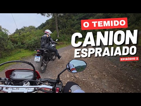 Motor&CIA and Motor And TRIP