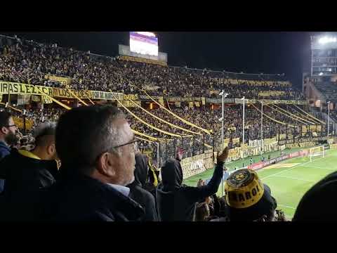 "hinchada de peñarol vs olimpia..festejo con los jugadores" Barra: Barra Amsterdam • Club: Peñarol