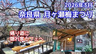 月ヶ瀬の梅まつり〜帰路に隠れ家カフェ