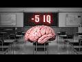 How School Makes People Dumber