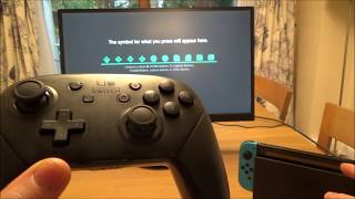 How to check buttons on Nintendo Switch Pro Controller (31)