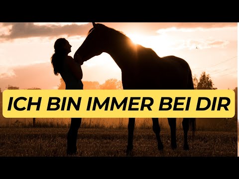 6 unusual signs that your pet is visiting you from beyond the grave