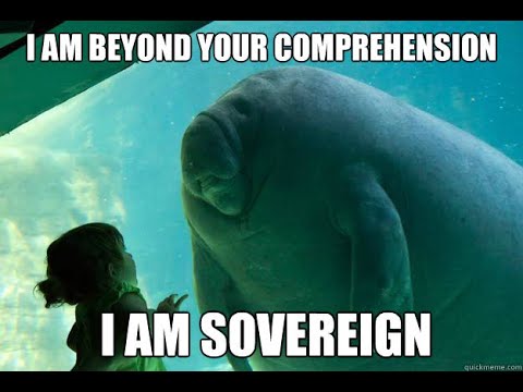 Sovereign's speech - Mass Effect