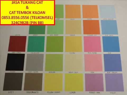 warna cat rumah avitex terbaru