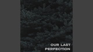 Our Last Perfection