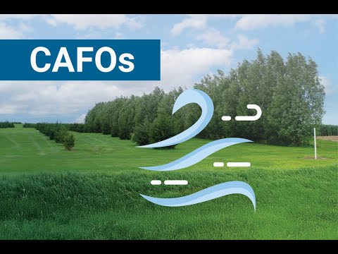 CAFOs Shouldn't Get a Bad Rap