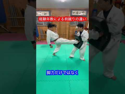 【空手】経験年数による前蹴りの威力の違い！！#aikido ＃karate #martial #合気道 #武道 #空手