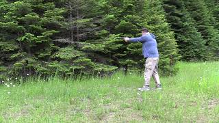 P320 Plinking Steel