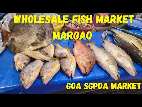 Wholesale Fish Market Margao Goa SGPDA Market Seafood Market Fatorda, Madgaon, Goa