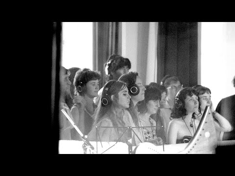 Ancient Infinity Orchestra – Equanimity (Official Video)