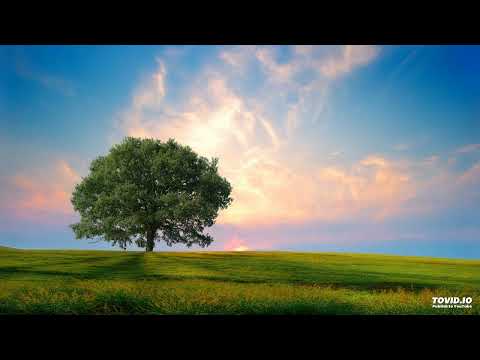 Blue Nature Feat Yvie - Love Or Die (Dj Shog Remix)