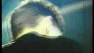 malaria! vs chicks on speed: kaltes klares wasser