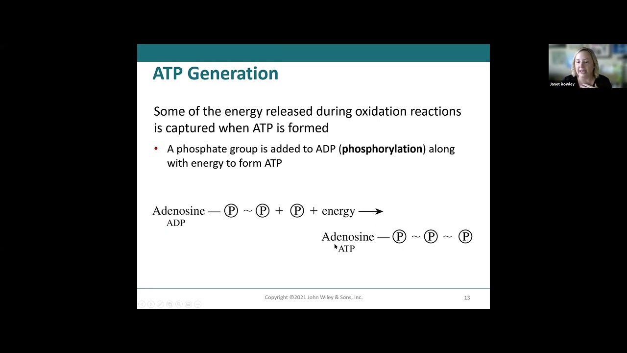 Chapter 25 Metabolism and Nutrition Part 1