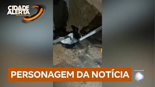 R7 DIRTY DOG LINK PHONE SAVES DOG 08/18