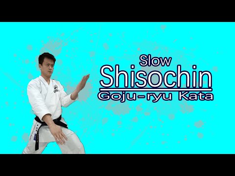 Goju-ryu Kata Shisochin （Slow）