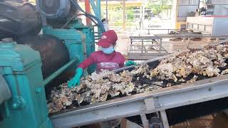 Dây chuyền SVR 10