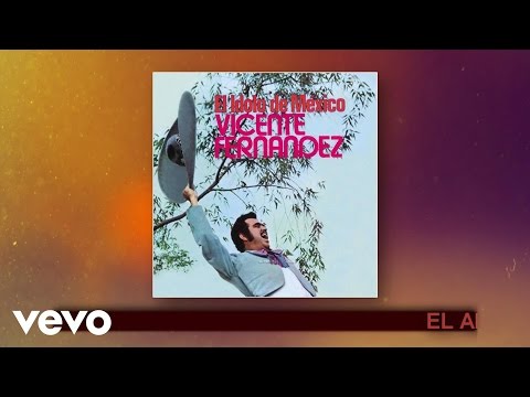Vicente Fernández - El Arracadas (Cover Audio)
