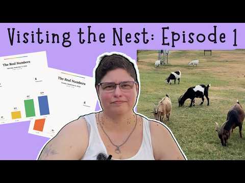 Visiting the Nest: Episode 1 — Craft Market Update & New Product Ideas