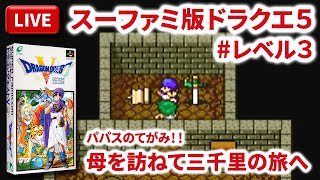 【LIVE】まーぶ実況！　ドラゴンクエスト５　天空の花嫁　#レベル3【スーファミ】