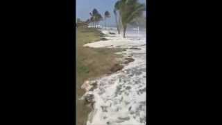 Prensa.com: Olas afectan hoteles en Decameron, Buenaventura y Bijao