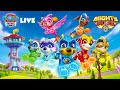 Adventure Bay Is In TROUBLE Can The Mighty Pups Save The Day PAW Patrol Official