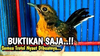 Download lagu CUKUP 5 DETIK...!!!  murai batu trotol dan pastol pasti bunyi ngeplong |murai trotol gacor mp3