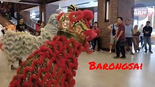 Download lagu The Origin of the Lion Dance in Chinese New Year... mp3
