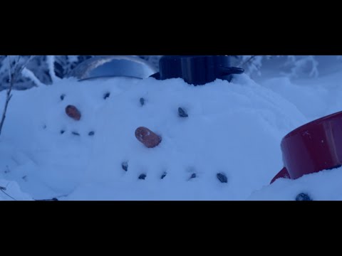 ptakustik - sněží