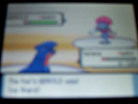 Battle Tower Epic Fail 4